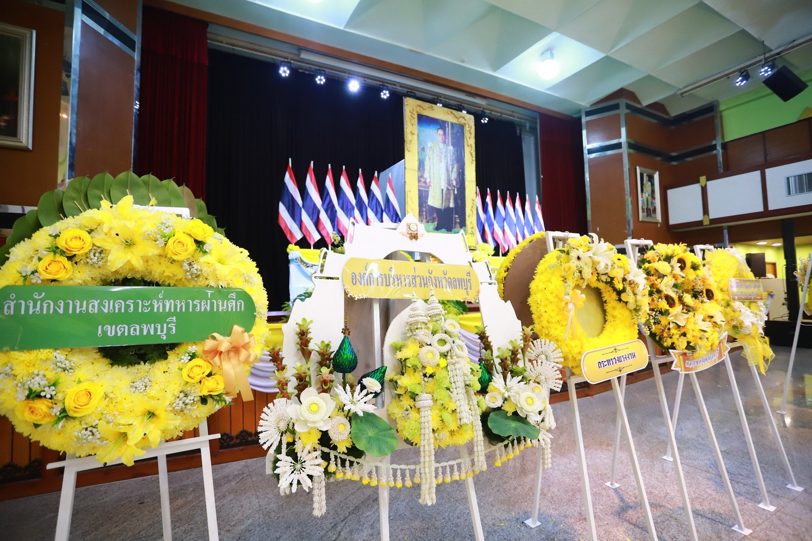 559429476 1230473745775692 1797799343384413821 n