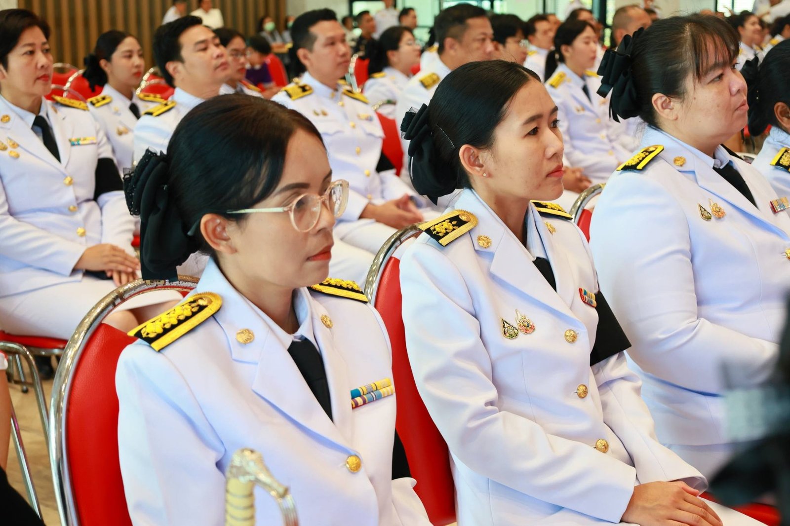 662355653 1369647205191678 2892759355969078869 n