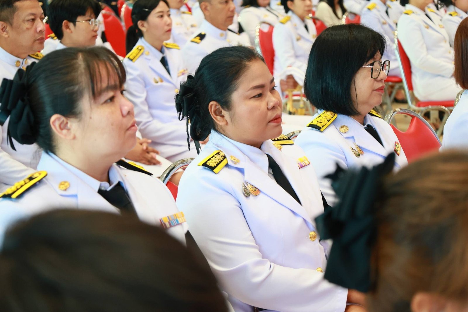 659589650 1369647175191681 7040891943759021067 n